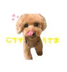 テンとクレオ（個別スタンプ：5）