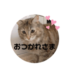 うにのあ（個別スタンプ：11）