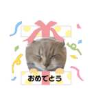 うにのあ（個別スタンプ：16）