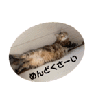 うにのあ（個別スタンプ：17）