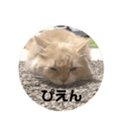 うにのあ（個別スタンプ：19）
