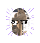 うにのあ（個別スタンプ：20）