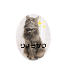 うにのあ（個別スタンプ：23）
