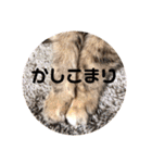 うにのあ（個別スタンプ：24）