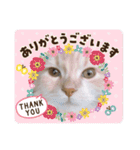 うにのあ（個別スタンプ：32）
