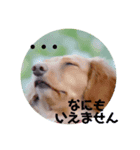 くるみ＆あんずPart2（個別スタンプ：5）