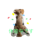 ペキえもん（個別スタンプ：3）