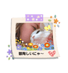 寝るのが仕事にゃ（個別スタンプ：6）