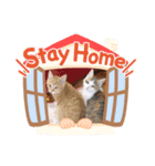 寝るのが仕事にゃ（個別スタンプ：7）