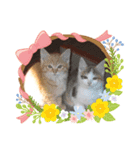 寝るのが仕事にゃ（個別スタンプ：8）