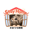 Stay Home もかにゃん❤︎ NEW（個別スタンプ：1）