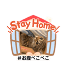 Stay Home もかにゃん❤︎ NEW（個別スタンプ：34）