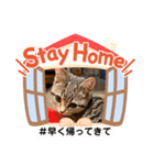 Stay Home もかにゃん❤︎ NEW（個別スタンプ：35）