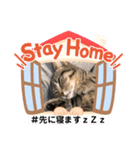 Stay Home もかにゃん❤︎ NEW（個別スタンプ：38）