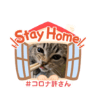 Stay Home もかにゃん❤︎ NEW（個別スタンプ：39）