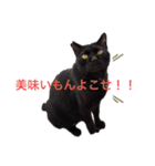 うちのたんこ2（個別スタンプ：1）