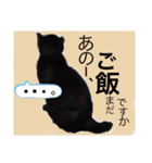 うちのたんこ2（個別スタンプ：9）