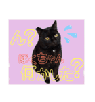 うちのたんこ2（個別スタンプ：19）