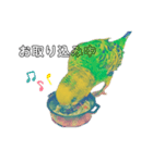 セキセイインコのハルくん（個別スタンプ：3）