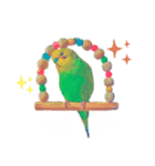 セキセイインコのハルくん（個別スタンプ：8）