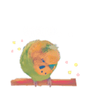 セキセイインコのハルくん（個別スタンプ：13）