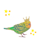 セキセイインコのハルくん（個別スタンプ：14）