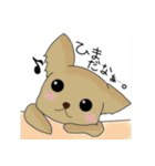 だんだん態度が横柄になるチワワ（個別スタンプ：29）