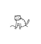 猫の行動40（個別スタンプ：13）