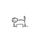 猫の行動40（個別スタンプ：17）