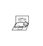 猫の行動40（個別スタンプ：24）