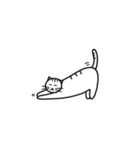 猫の行動40（個別スタンプ：28）