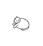 猫の行動40（個別スタンプ：31）