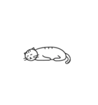 猫の行動40（個別スタンプ：35）