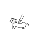 猫の行動40（個別スタンプ：38）