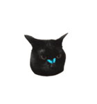 我が家ねこまみれ2（個別スタンプ：25）