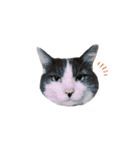 我が家ねこまみれ2（個別スタンプ：33）