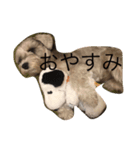 ミニチュアシュナウザーのごましお（個別スタンプ：3）