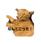 こねスタ4（個別スタンプ：2）