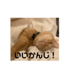 こねスタ4（個別スタンプ：6）