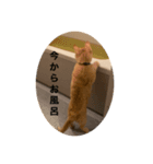 こねスタ4（個別スタンプ：7）