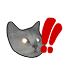 ねこぺる（個別スタンプ：7）