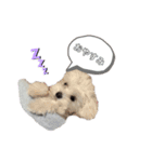 れいちゃん日記2（個別スタンプ：4）