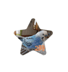 ☆我が家のインコ☆（個別スタンプ：2）