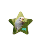 ☆我が家のインコ☆（個別スタンプ：7）
