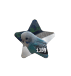 ☆我が家のインコ☆（個別スタンプ：13）