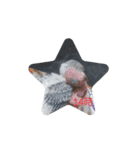 ☆我が家のインコ☆（個別スタンプ：14）