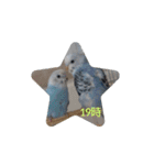☆我が家のインコ☆（個別スタンプ：19）