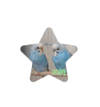 ☆我が家のインコ☆（個別スタンプ：20）