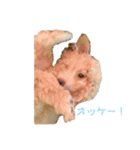 ジェネのスタンプ（個別スタンプ：3）