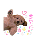 ジェネのスタンプ（個別スタンプ：9）